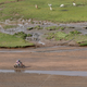 Image for article titled Photos: The epic landscape of the Dakar Rally, seen from above